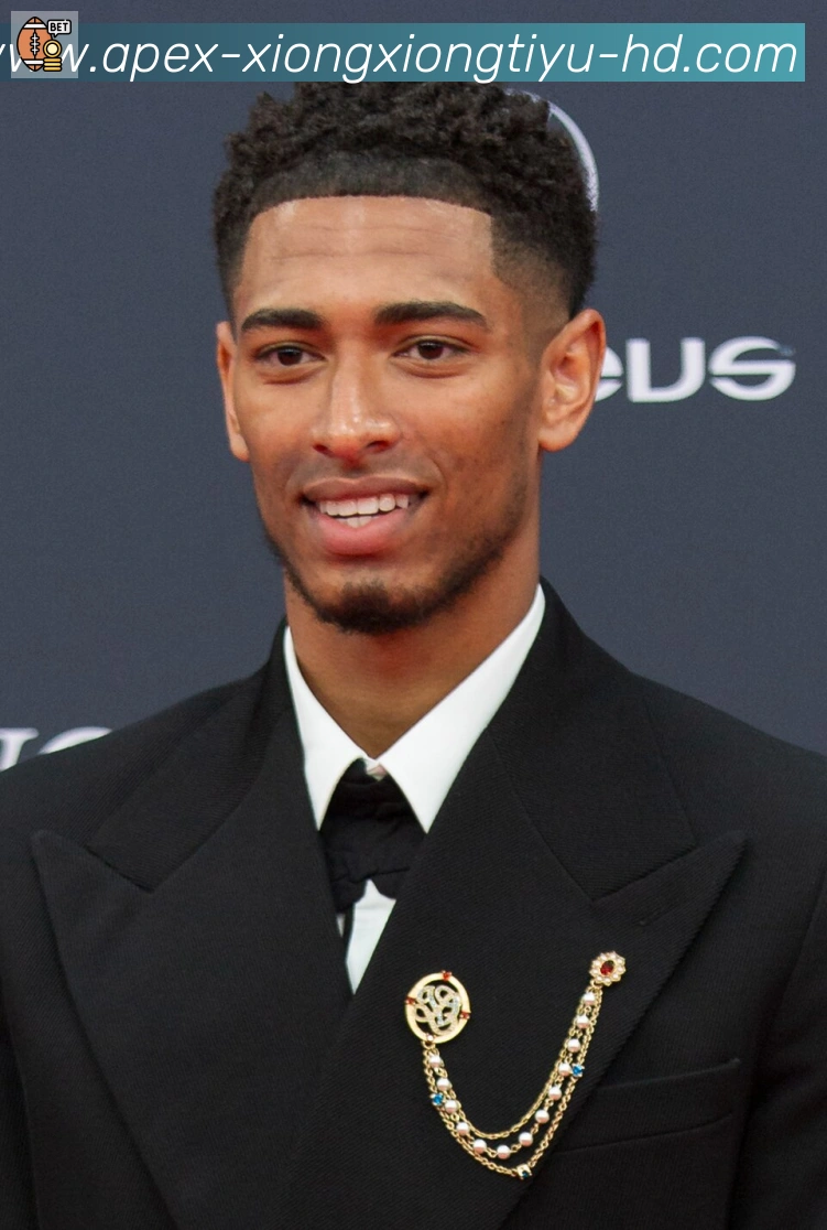 维尼修斯